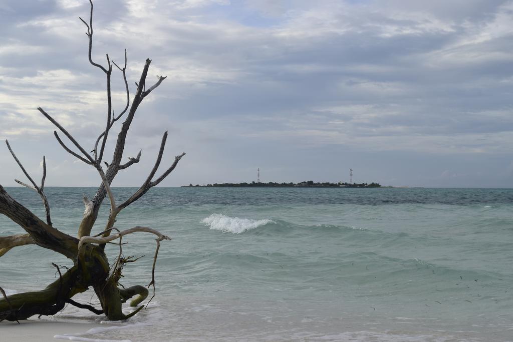 Alvi Star Inn Thulhaadhoo Esterno foto